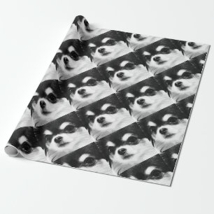Een zwart-witte Chihuahua Cadeaupapier