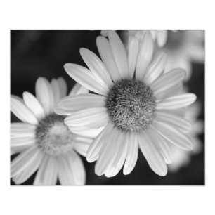 Een zwarte en witte foto van een bloem afdruk
