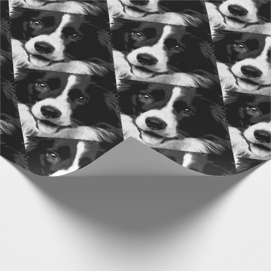 Een zwarte en witte rand collie cadeaupapier (Hoek)