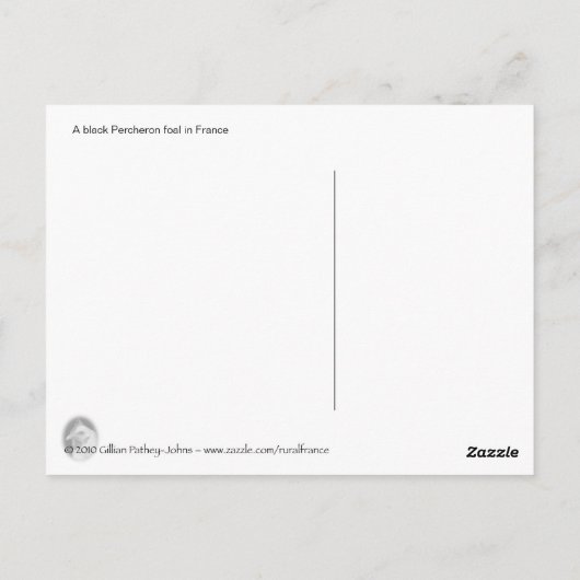 Een zwarte Percheron-foal in Frankrijk Briefkaart (Achterkant)