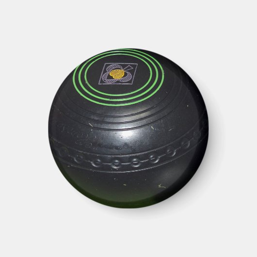 Een zwarte  wandelbrak, magneet (Voorkant)