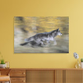 Een zwarte wolf op de vlucht canvas afdruk (Insitu (Woonkamer))