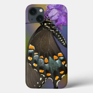 Een zwavelvlinder iPhone 13 hoesje