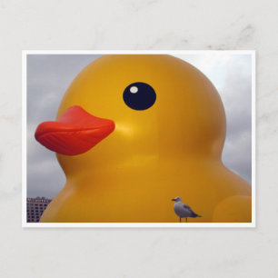 eend briefkaart