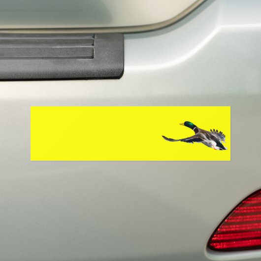 eend bumpersticker (Op auto)