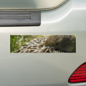 Eend Bumpersticker (Op auto)