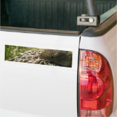 Eend Bumpersticker (Op Truck)