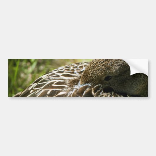 Eend Bumpersticker (Voorkant)