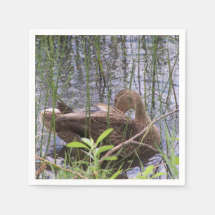 Eend die zich in het riet wast servet