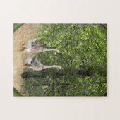 Eend, eend, Gans... Legpuzzel (Horizontaal)