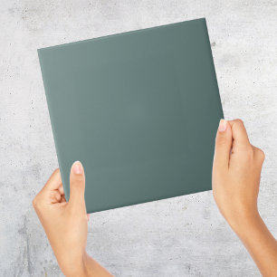 Eend Ei Blauw Grijs Effen Kleur Tegel Tegeltje