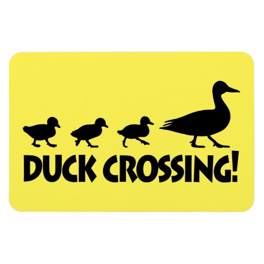Eend en eenden: Duck Crossing Magneet (Horizontaal)