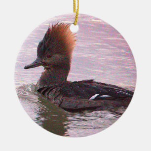Eend Foto Ornament