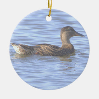Eend Foto Ornament