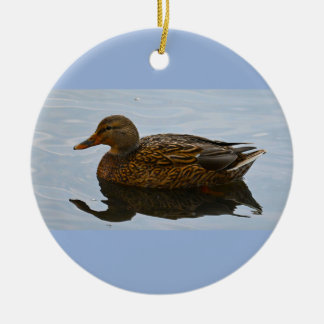 Eend Foto Ornament