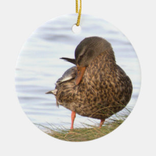 Eend Foto Ornament