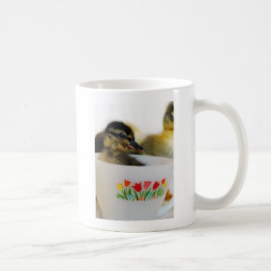 Eend in een theekopje koffiemok