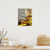 Eend met eendjes Foto Poster (Keuken)