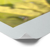 Eend met eendjes Foto Poster (Hoek)