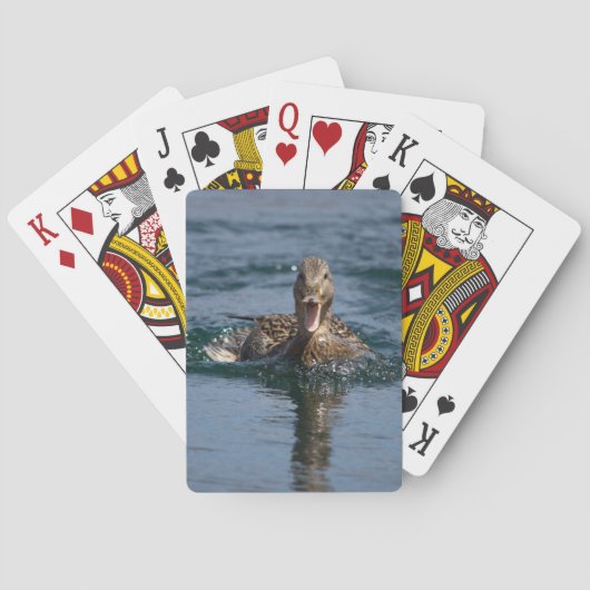 Eend met open bek pokerkaarten (Achterkant)