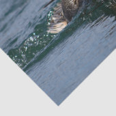 Eend met open snavel tissuepapier (Detail)