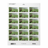 Eend moeder en eendjes etiket (Full Sheet)