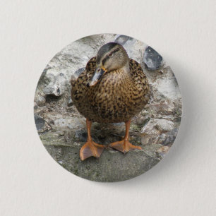 Eend op een muurknop ronde button 5,7 cm