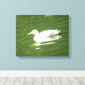 Eend op het Water Canvasprint Canvas Afdruk (Insitu (Houten vloer))