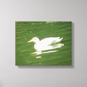 Eend op het Water Canvasprint Canvas Afdruk