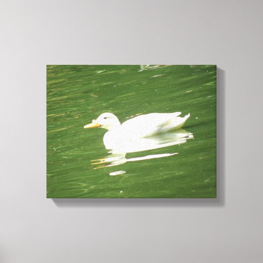 Eend op het Water Canvasprint Canvas Afdruk (Voorkant)