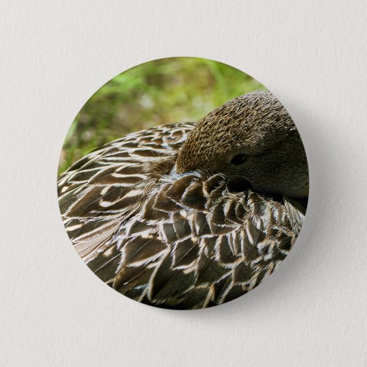 Eend Ronde Button 5,7 Cm (Voorkant)