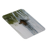 Eend schudden Staartveer Magneet (Rechterzijde)