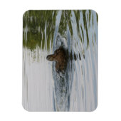 Eend schudden Staartveer Magneet (Verticaal)