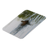 Eend schudden Staartveer Magneet (Linkerzijde)