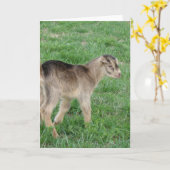 eendags Thunder Kaart (Gele Bloem)