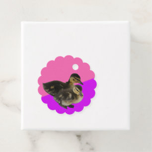 EendagsKuikens op Roze Framboos en Paarse Sorbet Bedankjes Labels