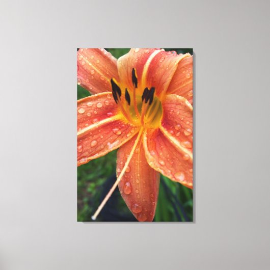 Eendagsleuf Canvas Afdruk (Voorkant)
