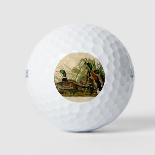 Eenden Audubon Vogel Schilderij Golfballen (Voorkant)