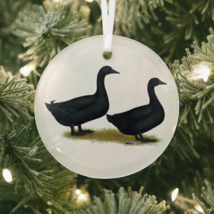 Eenden: Black Cayugas Glas Ornament