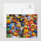 Eenden Briefkaart (Voorkant / Achterkant)