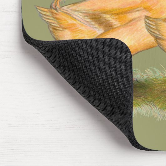 Eenden: Buff Orpington Muismat (Hoek)