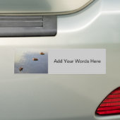 Eenden Bumpersticker (Op auto)