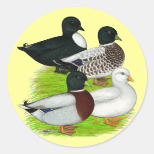 Eenden: Call Quartet Ronde Sticker