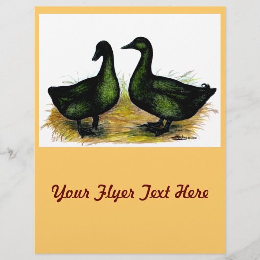 Eenden: Cayuga paar Flyer (Voorkant)