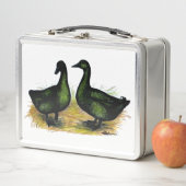 Eenden: Cayuga Pair (In situ)