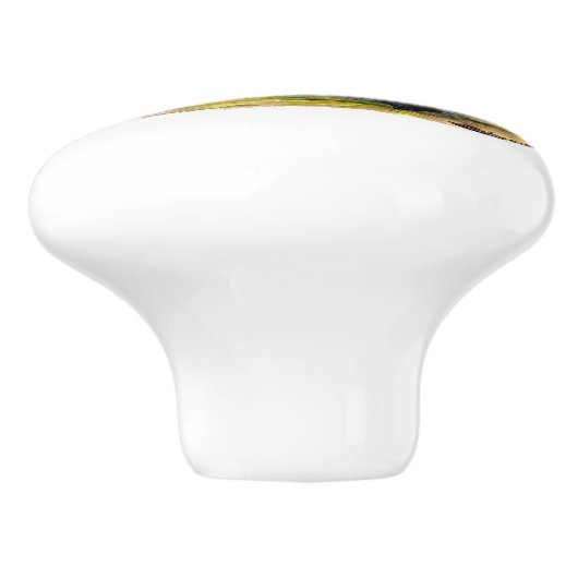 Eenden: Cayuga Pair Keramische Knop (Zijkant)