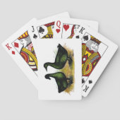 Eenden: Cayuga Pair Pokerkaarten (Achterkant)