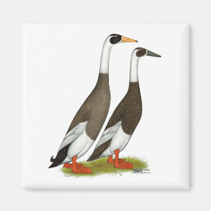 Eenden: Emery Penciled Runners Magneet