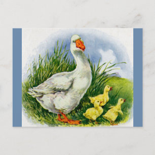 Eenden en eenden van mama uit de jaren '30 briefkaart