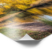 Eenden in de herfstvijver foto afdruk (Hoek)